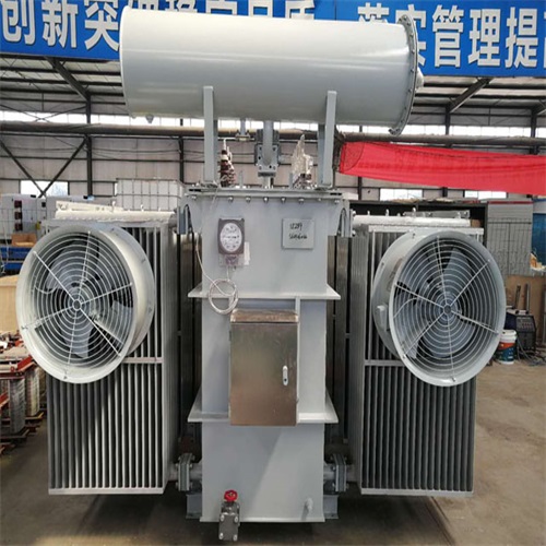 乐陵10KV油浸式变压器